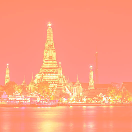 Tăieței de orez Glads Discovery cu sos «Tom Yam»