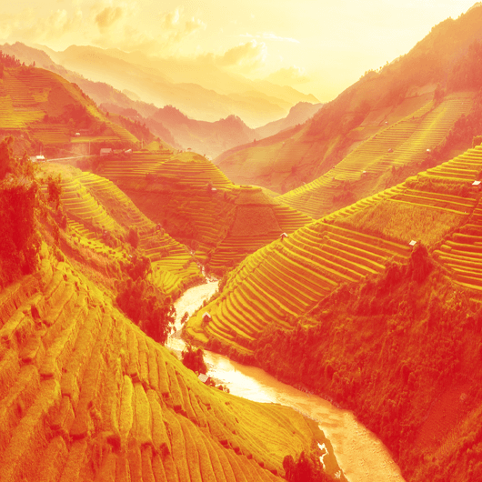 Tăieței Glads WOK cu sos cu gust de «Mie Goreng»