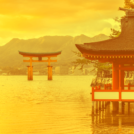 Tăieței Glads WOK cu sos cu gust de «Chicken&nbsp;teriyaki»